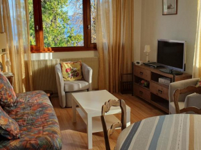 Charmant appartement proche du lac avec Wi-Fi et parking à Évian-les-Bains - FR-1-498-96
